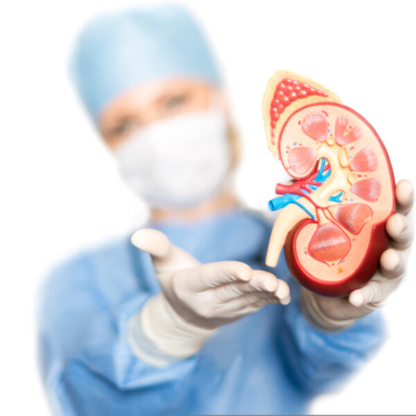 Effective Treatment Strategies for 3rd Stage Kidney Disease