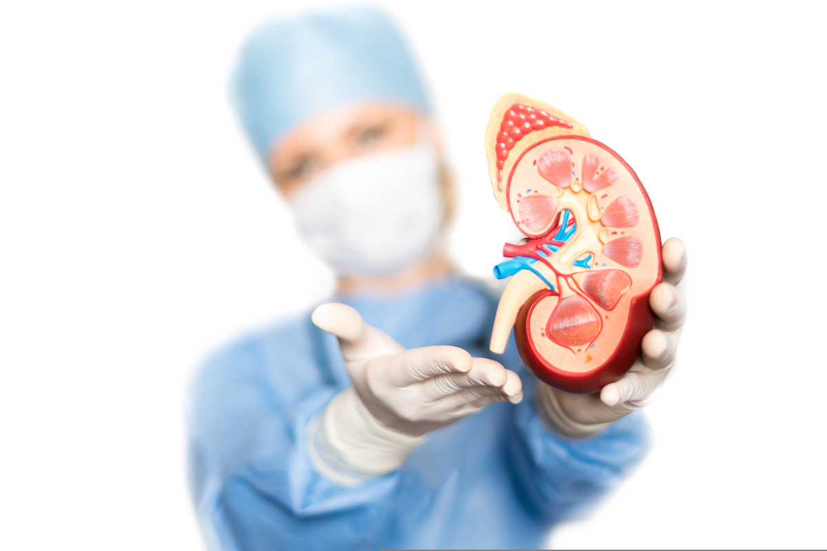 Effective Treatment Strategies for 3rd Stage Kidney Disease