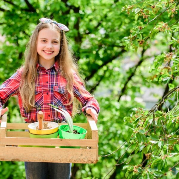 What&#8217;s the Best Fertilizer for Blueberries?