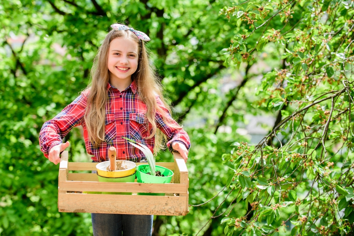 What&#8217;s the Best Fertilizer for Blueberries?